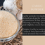 Garlic Powder – Pure Ground Dehydrated Garlic