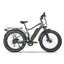 Vélo Électrique ETTRONE Tempesta ST 2022 - Gris