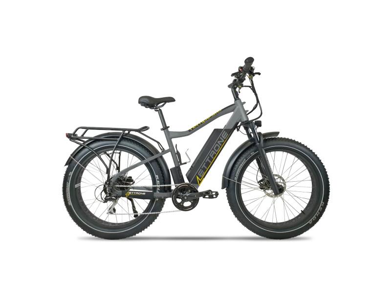 Vélo Électrique ETTRONE Tempesta ST 2022 - Gris