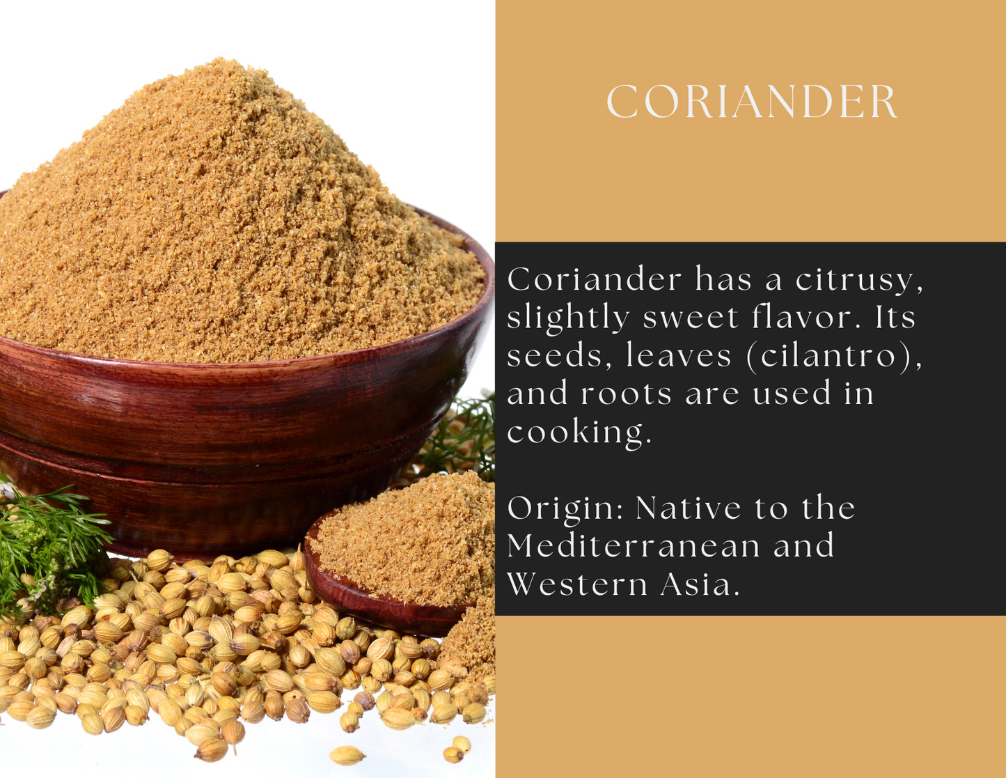 Coriander Powder – Ground Coriander Seed