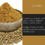 Cumin Powder – Ground Cumin Spice