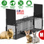 32in 2-Door Live Animal Cage Trap for Small Animals