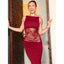 Elegant See-Through Long Dress