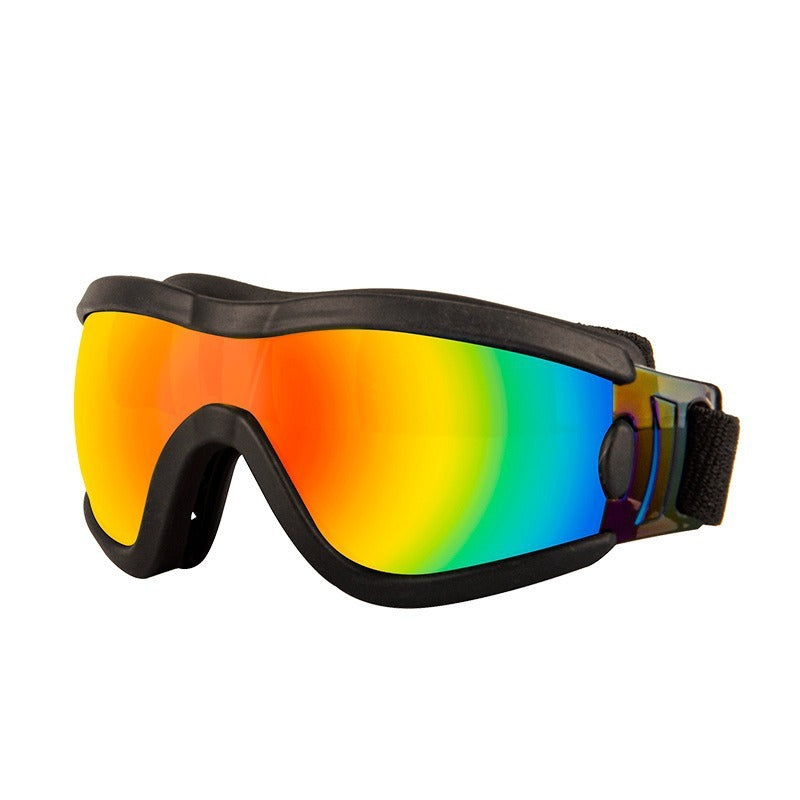 Lunettes de soleil élégantes pour animaux de compagnie avec protection UV
