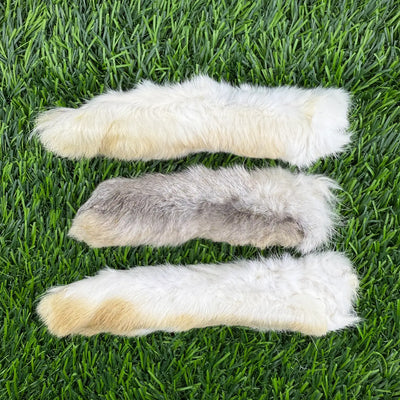Freeze-Dried Rabbit Foot - 1 Count - Korvel