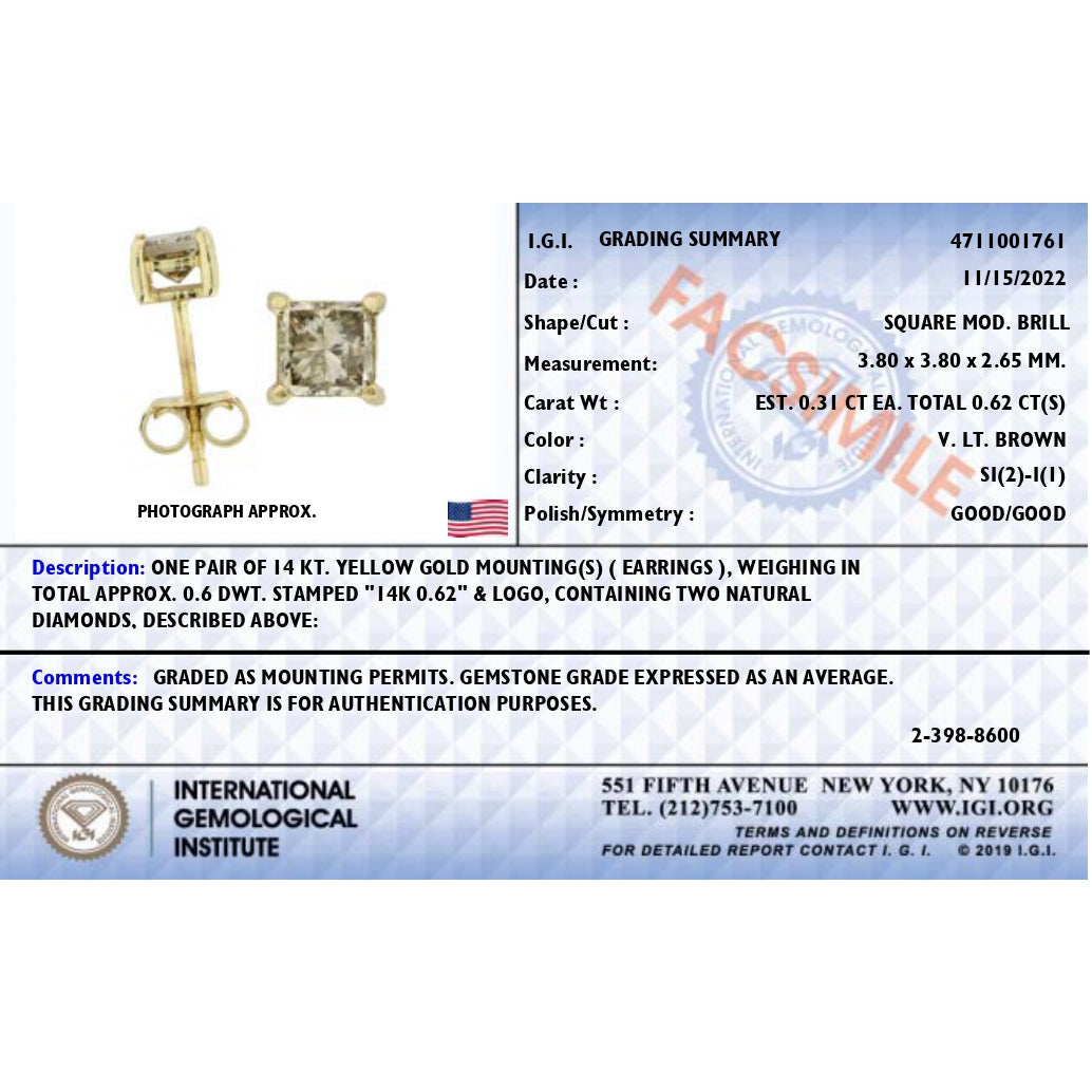 Pendientes de Stud de Diamante Natural Marrón Princesa de Oro Amarillo de 14K