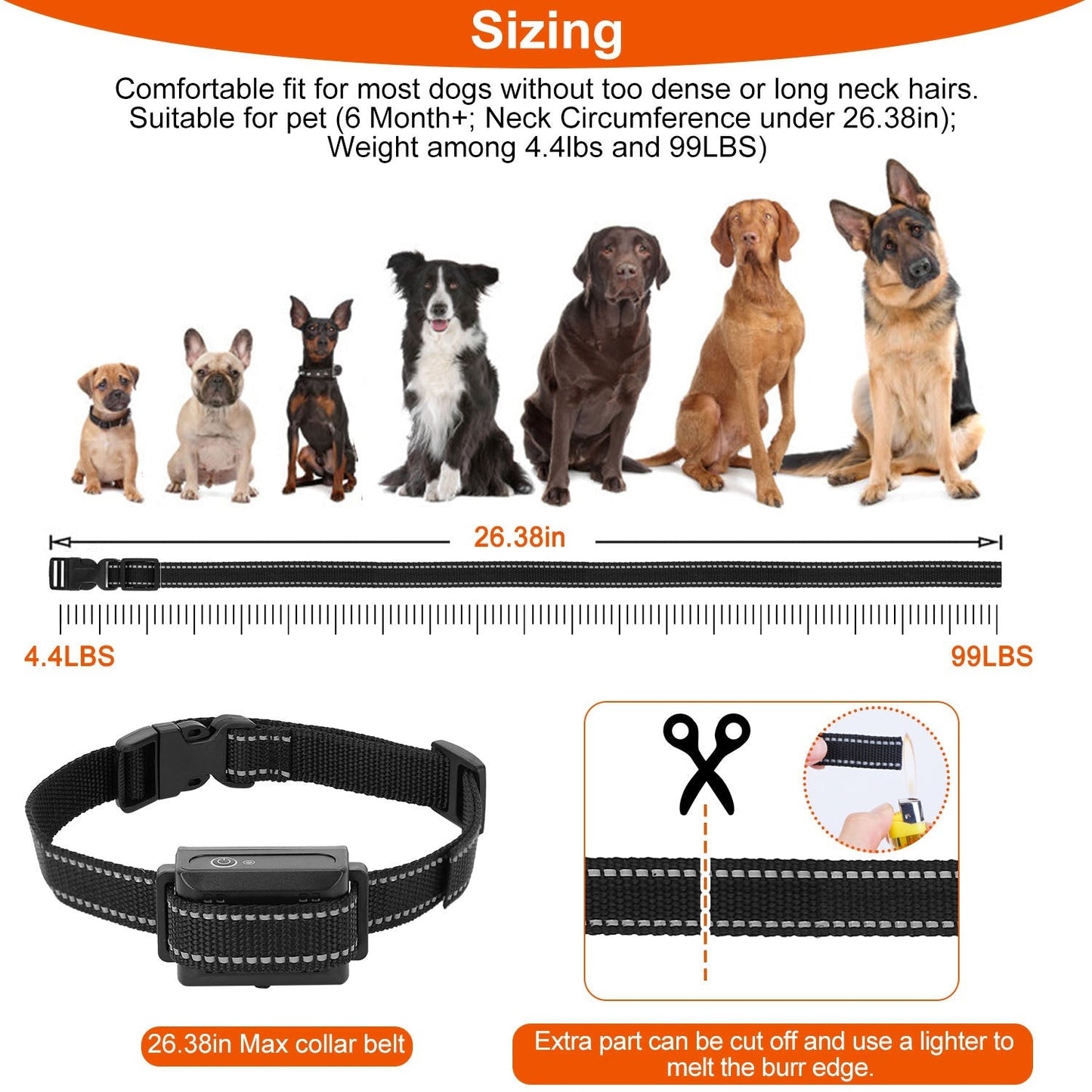Récepteur de collier de dressage pour chiens GBruno Premium
