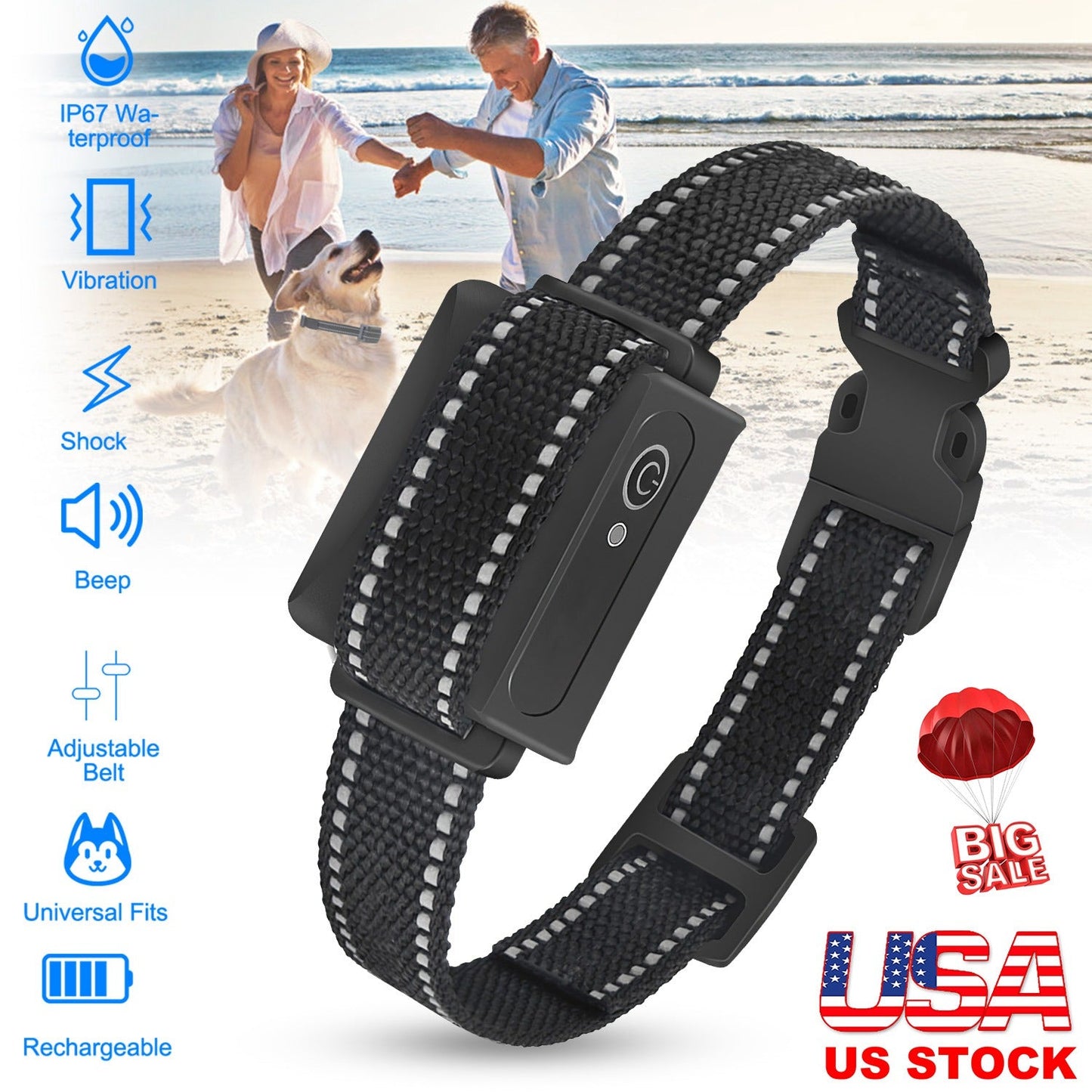 Récepteur de collier de dressage pour chiens GBruno Premium