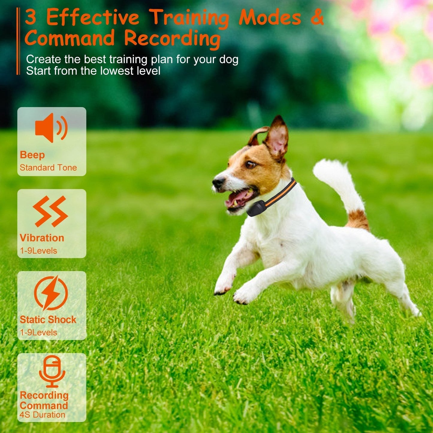 Collar de Entrenamiento para Perros GBruno 984FT