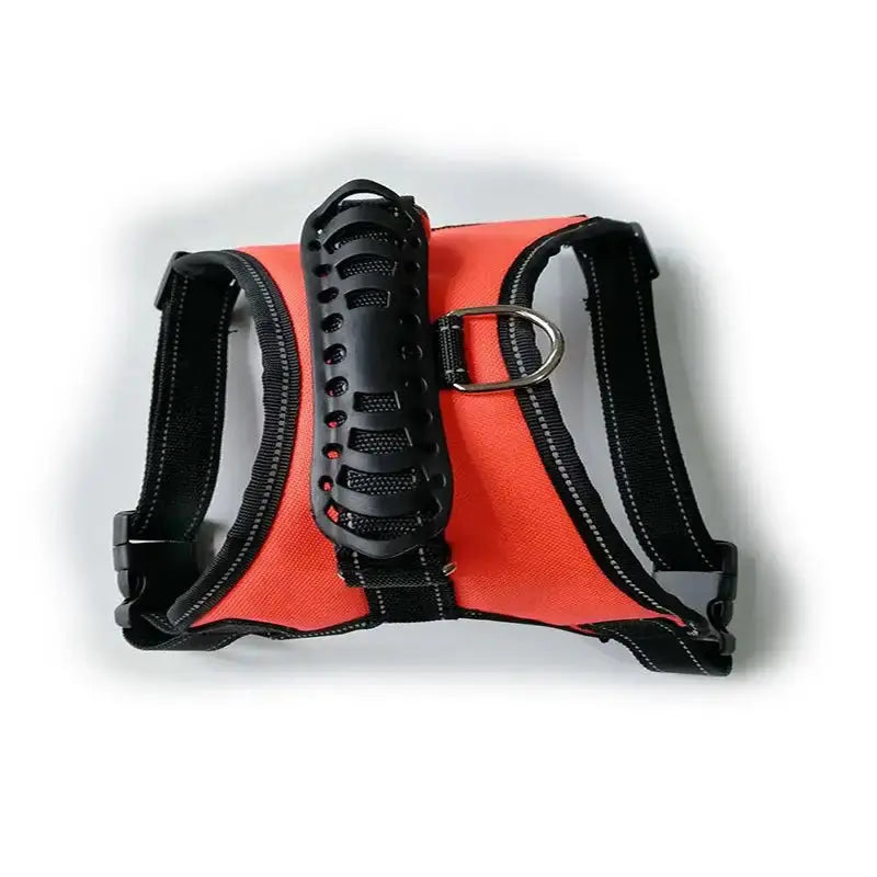 Harnais de Poitrine Premium pour Promenades Confortables
