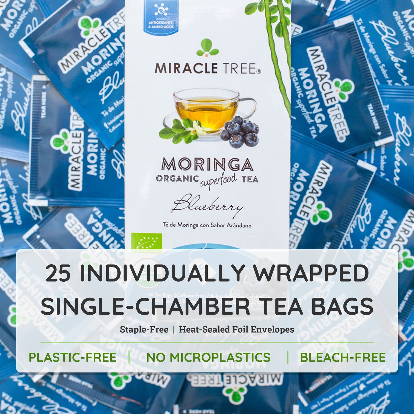 Organic Moringa Tea with Blueberry Flavor