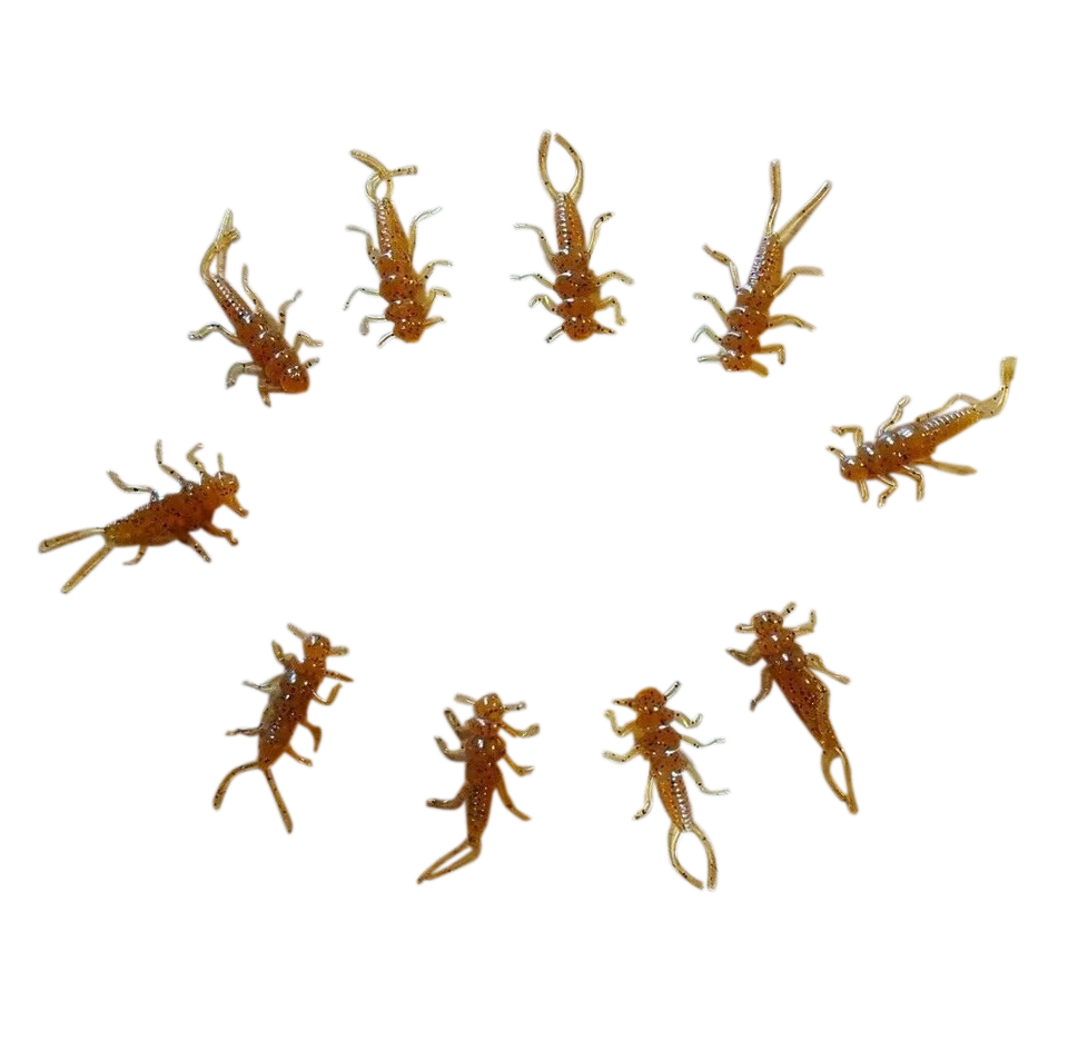 Custom 1.375" Soft Plastic Stonefly Nymphs