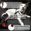 Adjustable Pet Safety Seatbelt - 2 Pack for Cats and Dogs