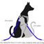 Adjustable Pet Safety Seatbelt - 2 Pack for Cats and Dogs