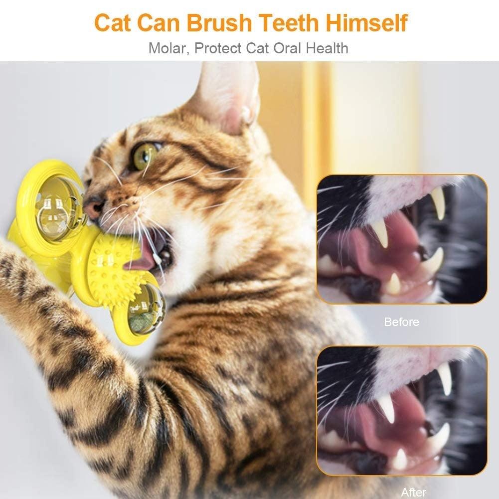Interactive Cat Toy Set - Windmill & Grooming Brush