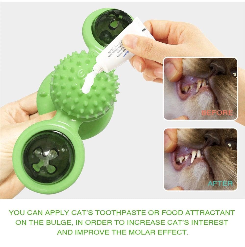 Interactive Cat Toy Set - Windmill & Grooming Brush