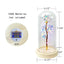 Rosa Galáctica de Cristal LED de 20 en Domo de Vidrio - Regalo Elegante para Ella