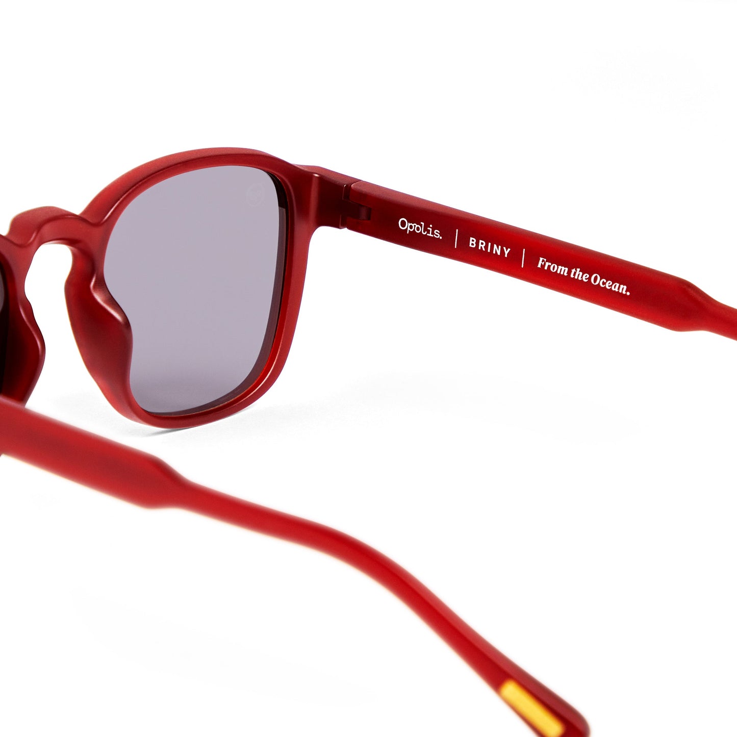 Lunettes Briny - Style Écologique