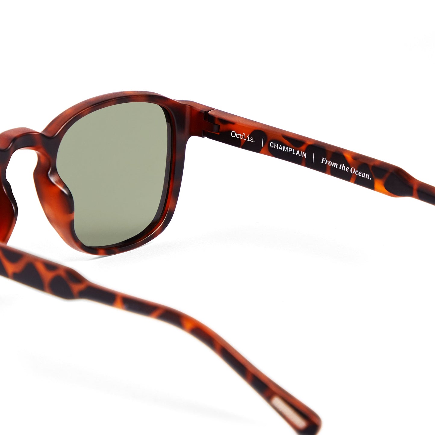 Lunettes Briny - Style Écologique