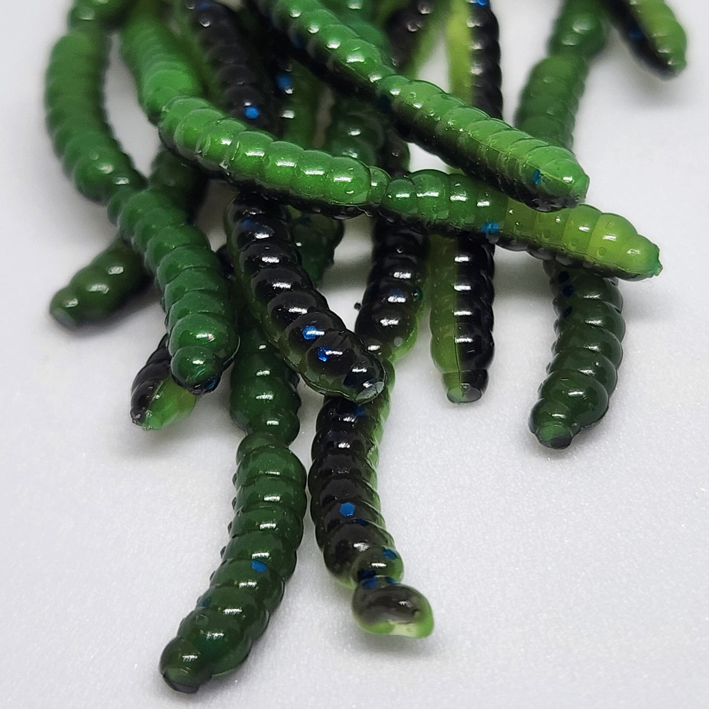 0.5" Micro Maggot Fly Larvae - The Enigmatic Apple Maggot - Korvel