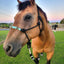 Cassidy Premium Halter with Beaded Noseband - Korvel