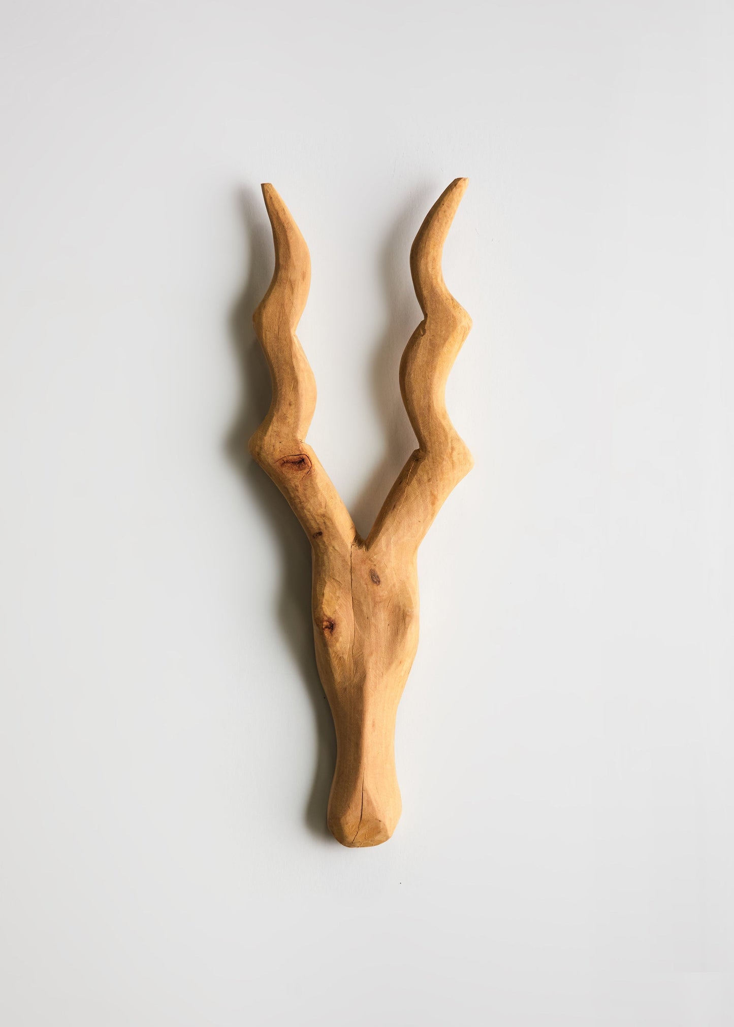 Escultura de Pared Cabeza de Kudu - Artesanía Tallada a Mano