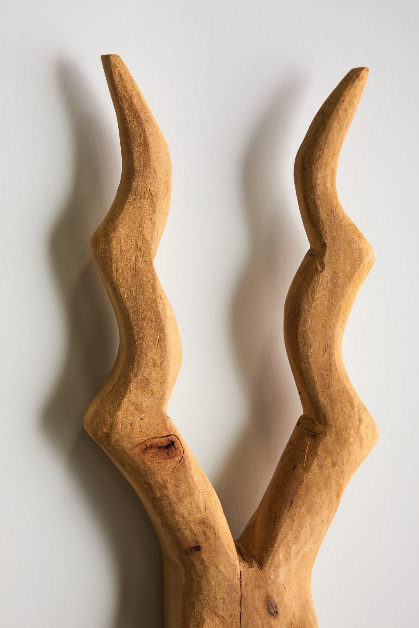 Escultura de Pared Cabeza de Kudu - Artesanía Tallada a Mano