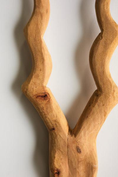 Kudu Head Wall Sculpture - Hand-Carved Artistry
