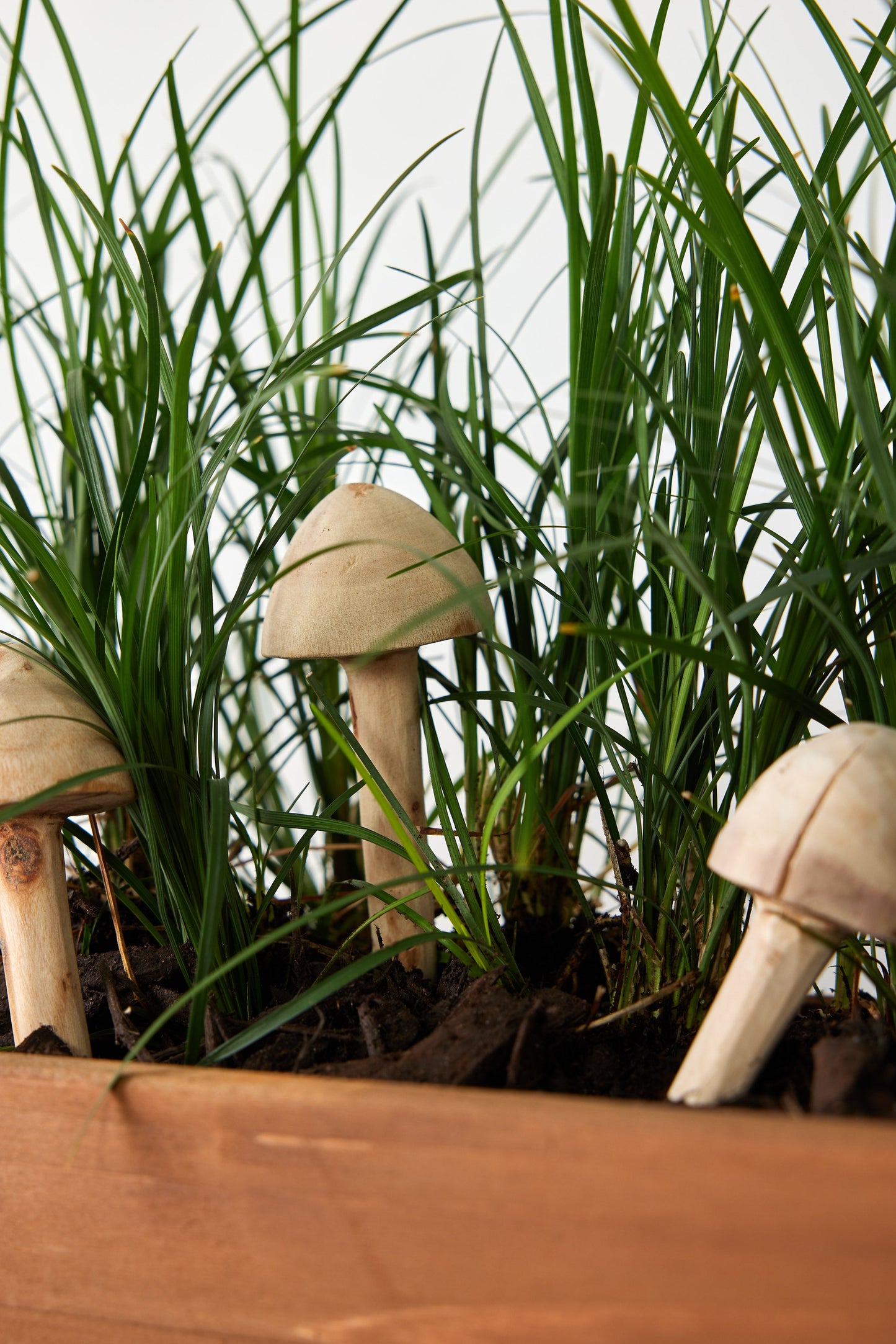 Hand-Carved Wooden Mushroom Garden Stick