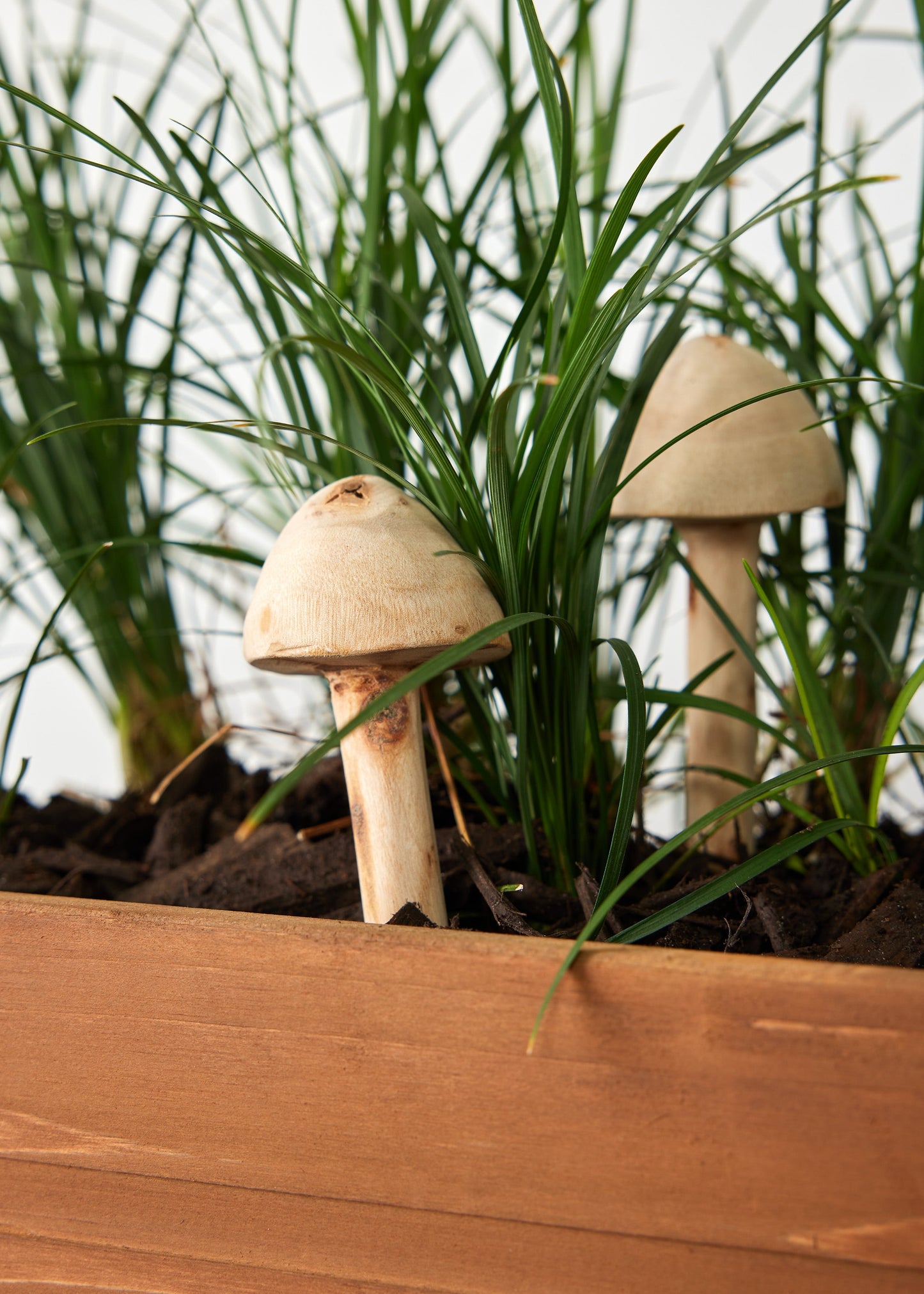 Hand-Carved Wooden Mushroom Garden Stick
