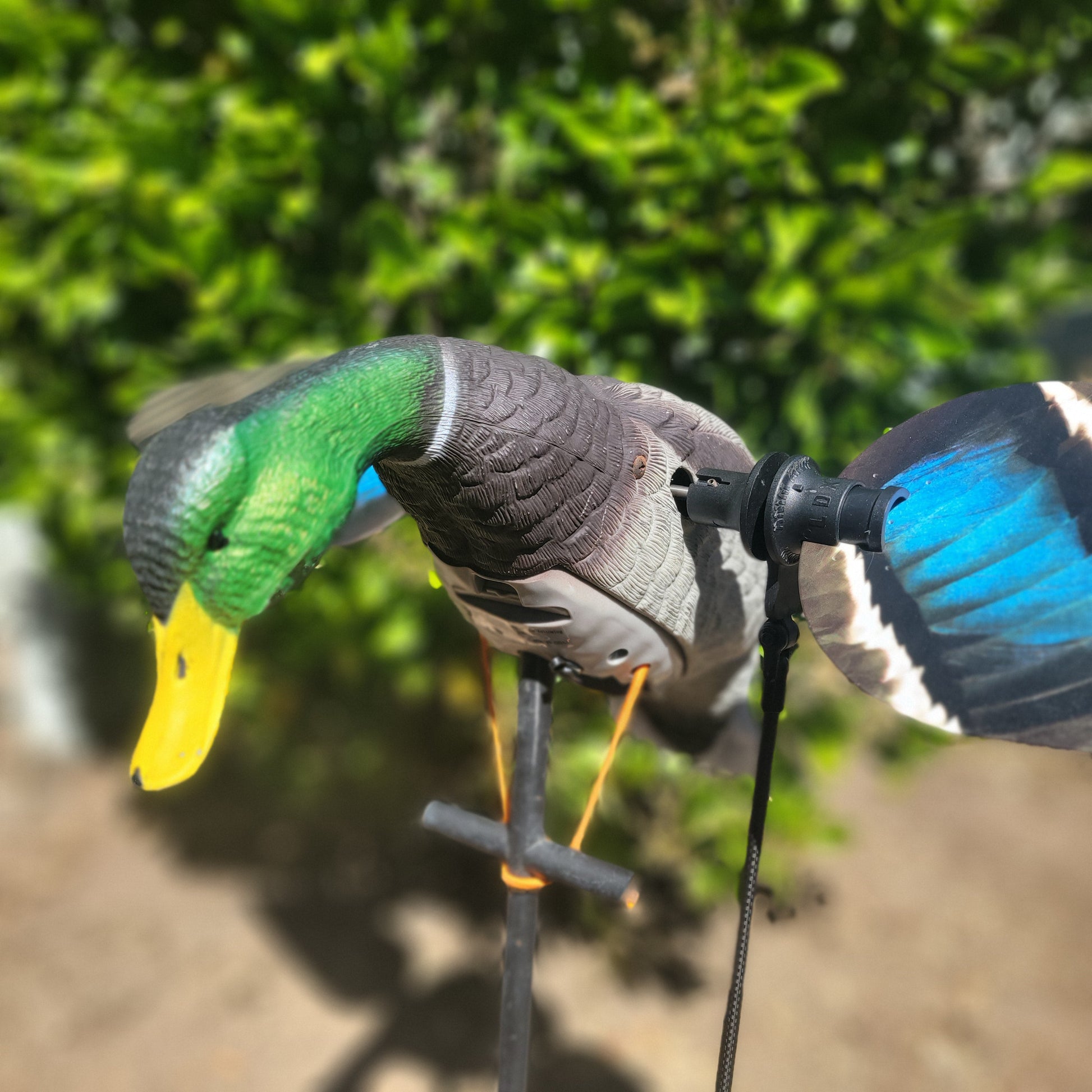 Super Lucky Duck Animator V2 - Enhanced Motion Decoy System - Korvel