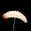 1" Waxworm "The Ultimate Tater Bug" - Korvel