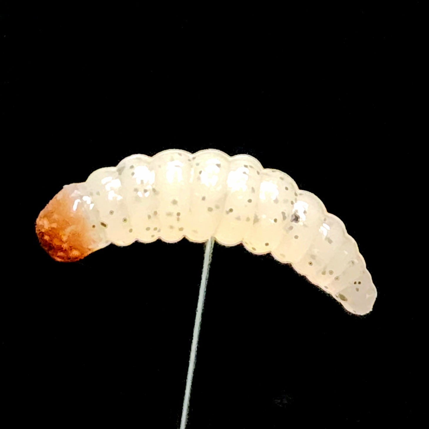 1" Waxworm Lure - The Legendary Tater Bug - Korvel