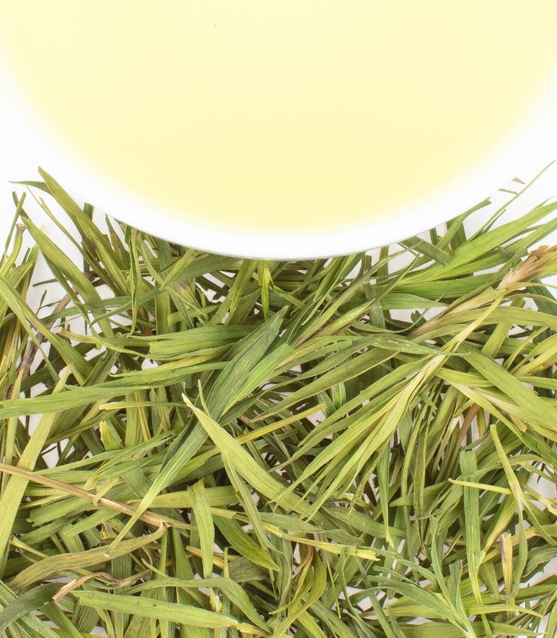 Infusión Premium de Hoja de Bambú