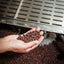 DLAC Endeavor to Dream Foundation 12oz Decaf Coffee