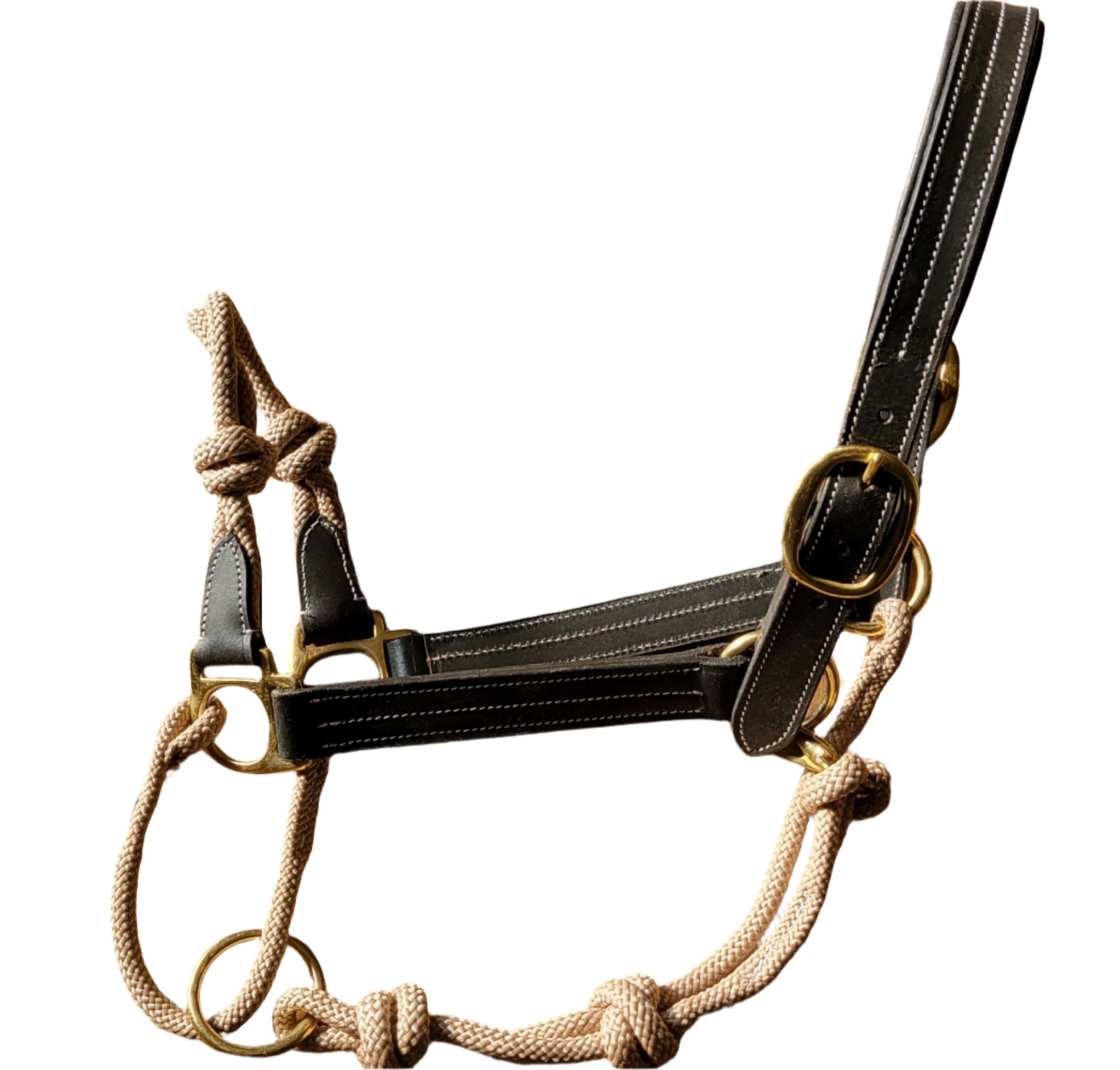 Phoenix Classic Fusion Adjustable Halter - Korvel