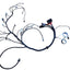 SPDZ1 Gen IV LS3 Standalone Wiring Harness – 58x, Drive-By-Wire, Compatible with 6L80E/6L90E Transmissions - Korvel