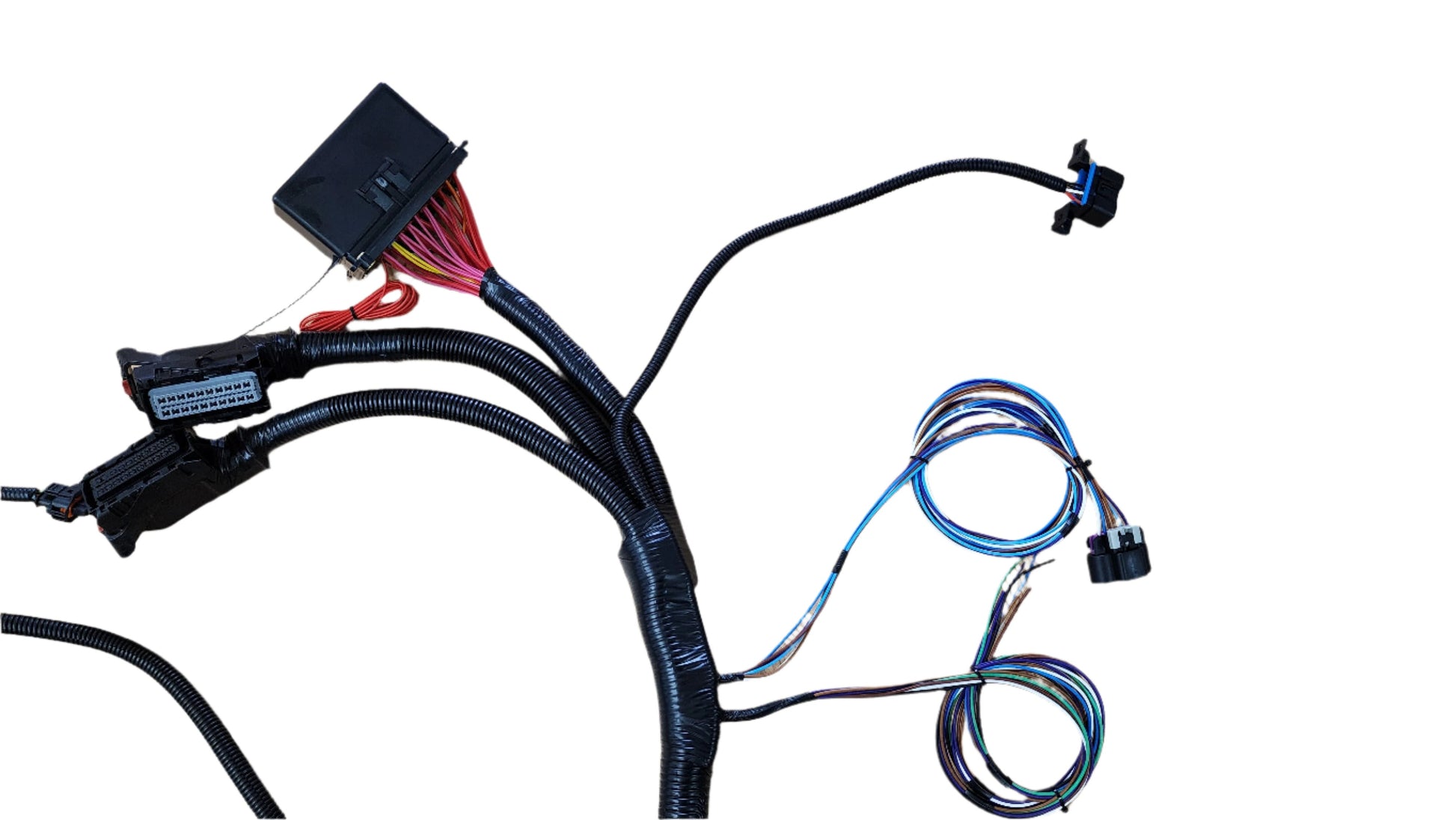 SPDZ1 Gen IV LS3 Standalone Wiring Harness – 58x, Drive-By-Wire, Compatible with 6L80E/6L90E Transmissions - Korvel