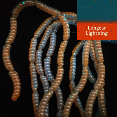 0.5" Micro Maggot Fly Larvae - The Enigmatic Apple Maggot - Korvel