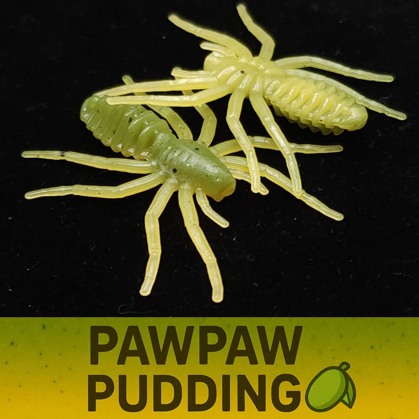 Jar of 1" Micro Spider Bait "The Writing Spider" - Korvel