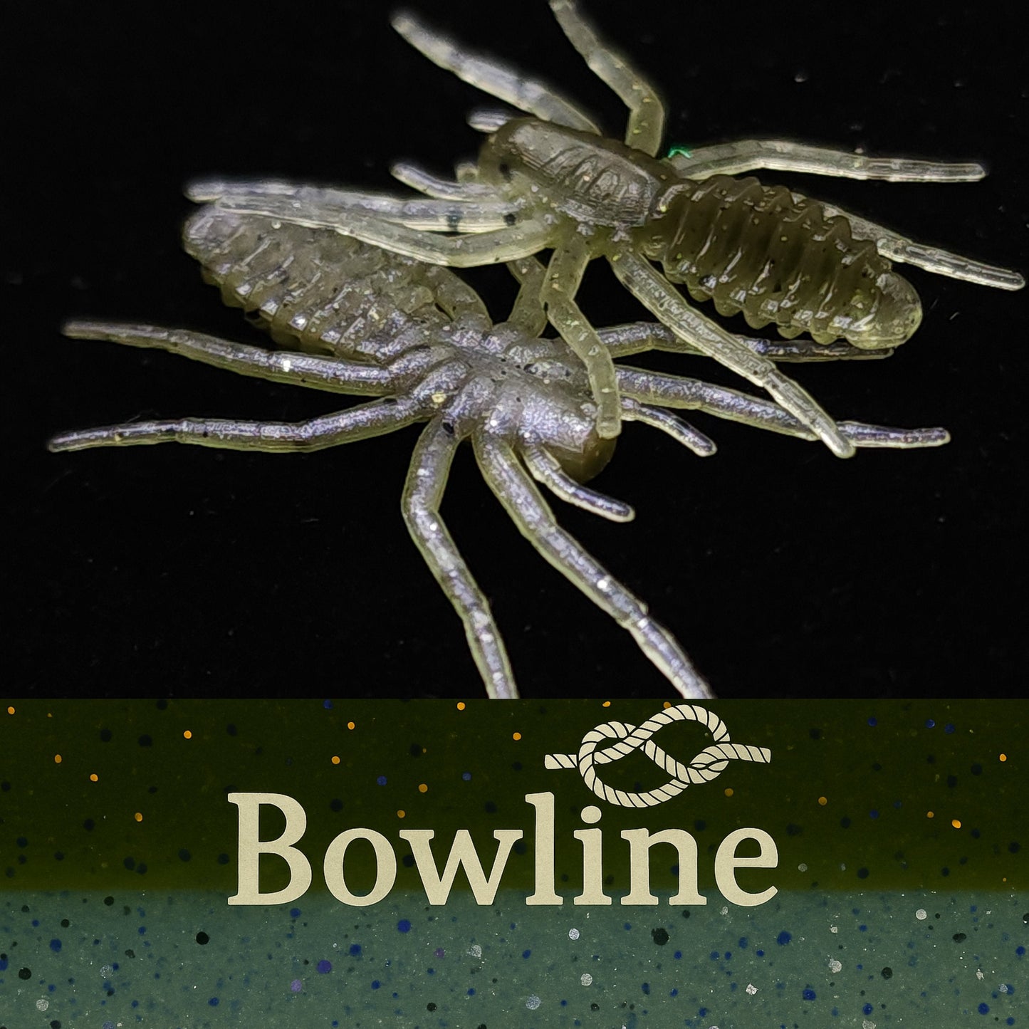 Jar of 1" Micro Spider Bait "The Writing Spider" - Korvel