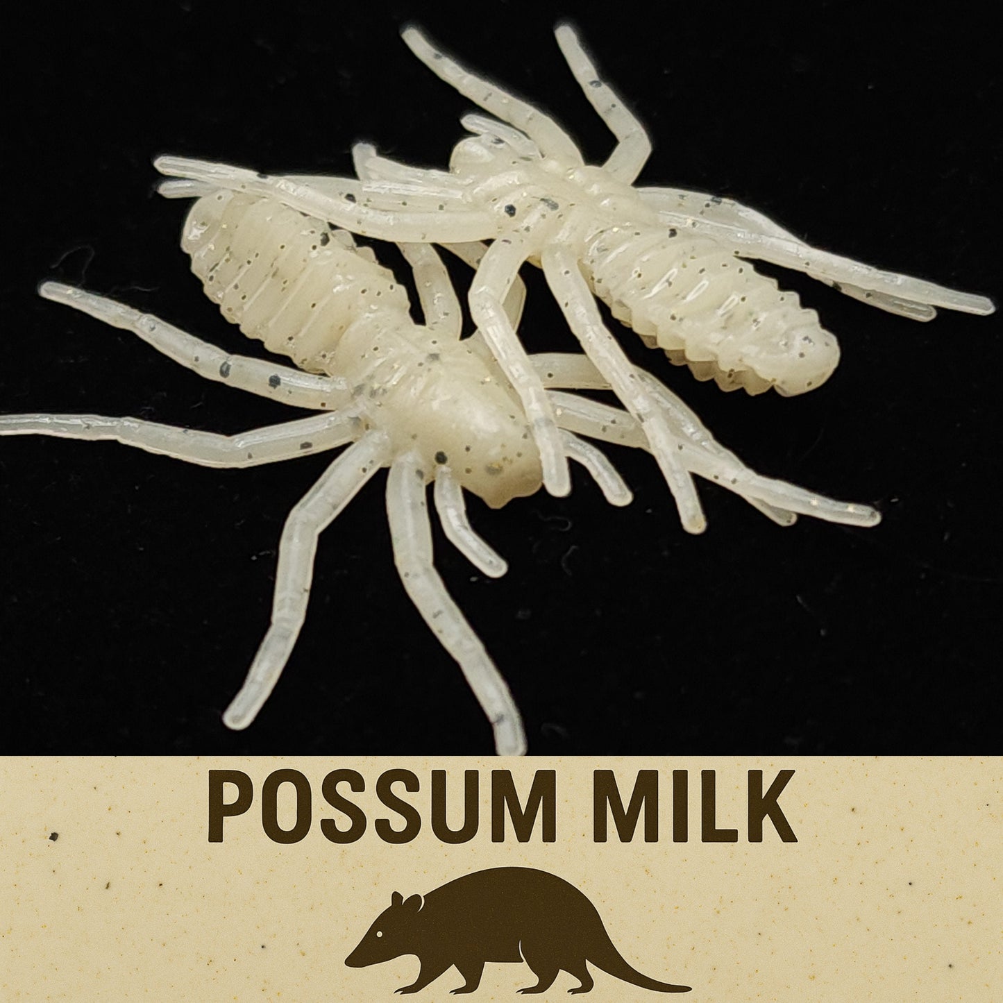 1" Floating Micro Spider Lure - The Writing Spider - Korvel