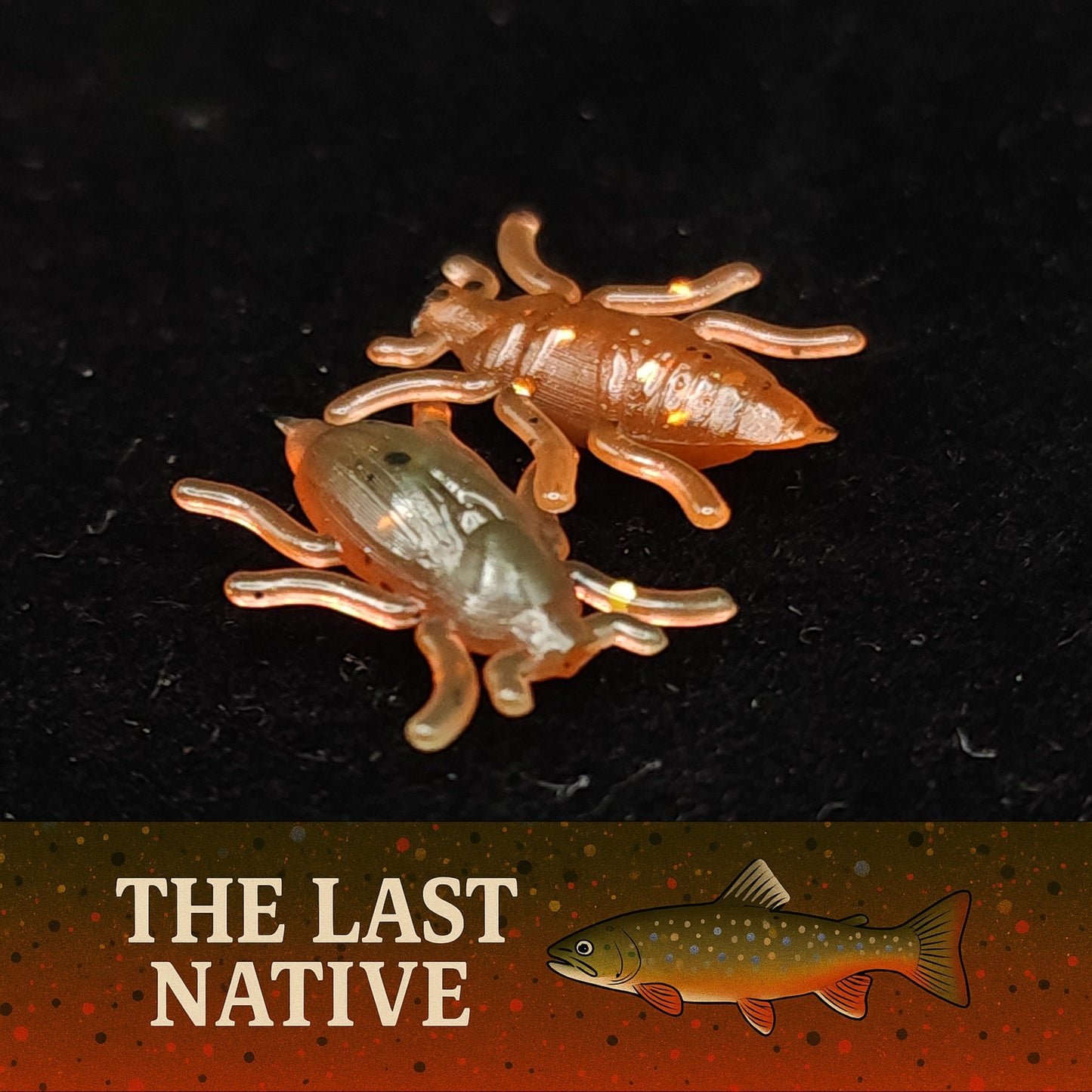 0.5" Micro Beetle Lure - The Ultimate "Toe Biter" - Korvel