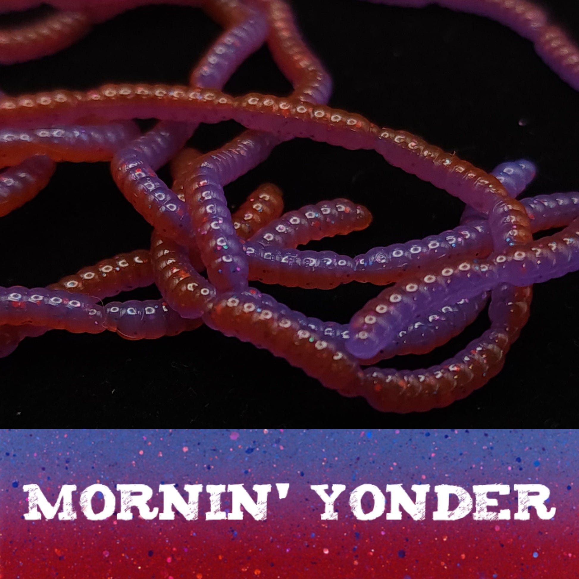 0.5" Micro Maggot Fly Larvae - The Enigmatic Apple Maggot - Korvel