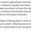 Premium Ginkgo Biloba & Ginseng Capsules