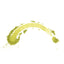 Matcha Culinaire Premium du Japon
