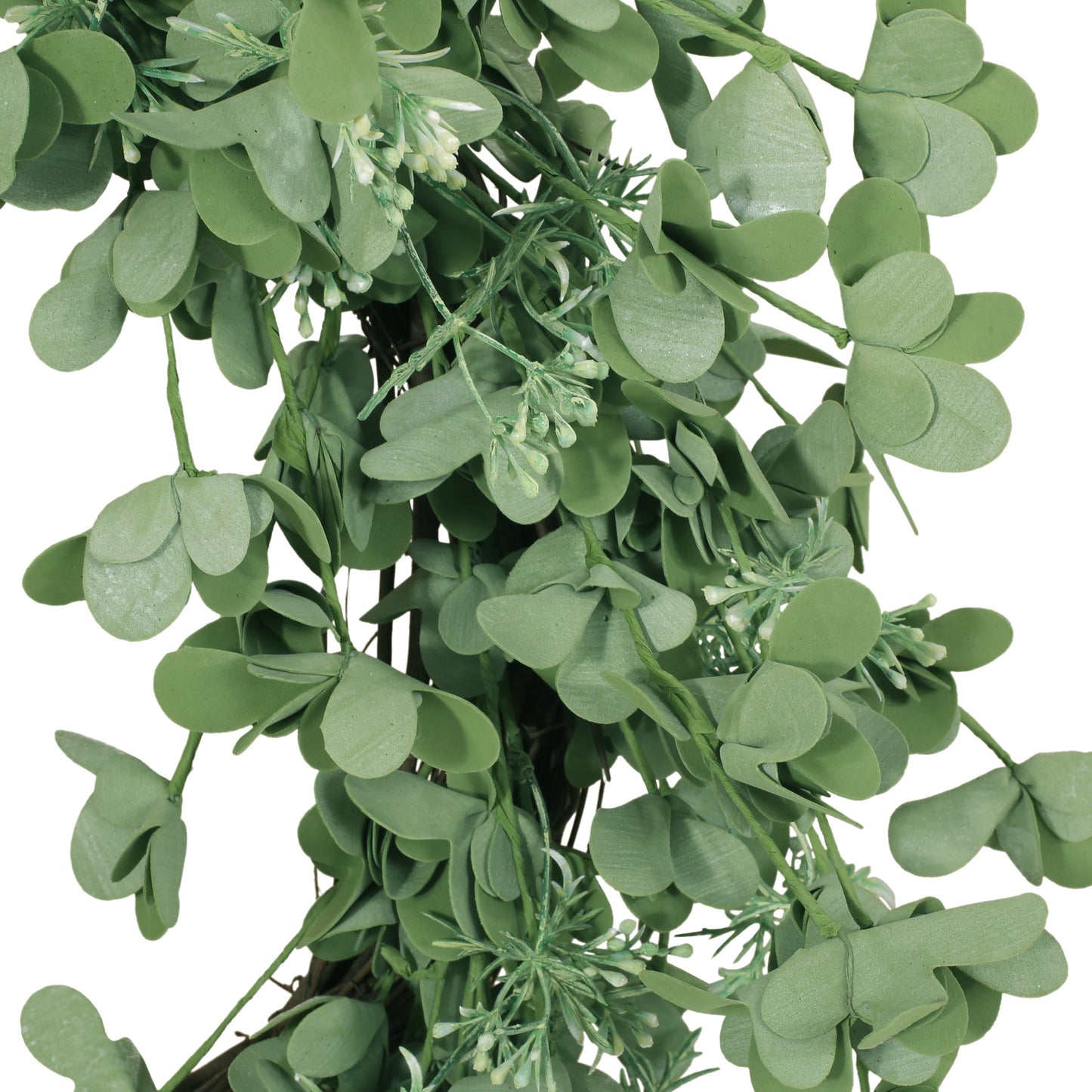 27" OXALIS CORNICULATA WREATH - Korvel