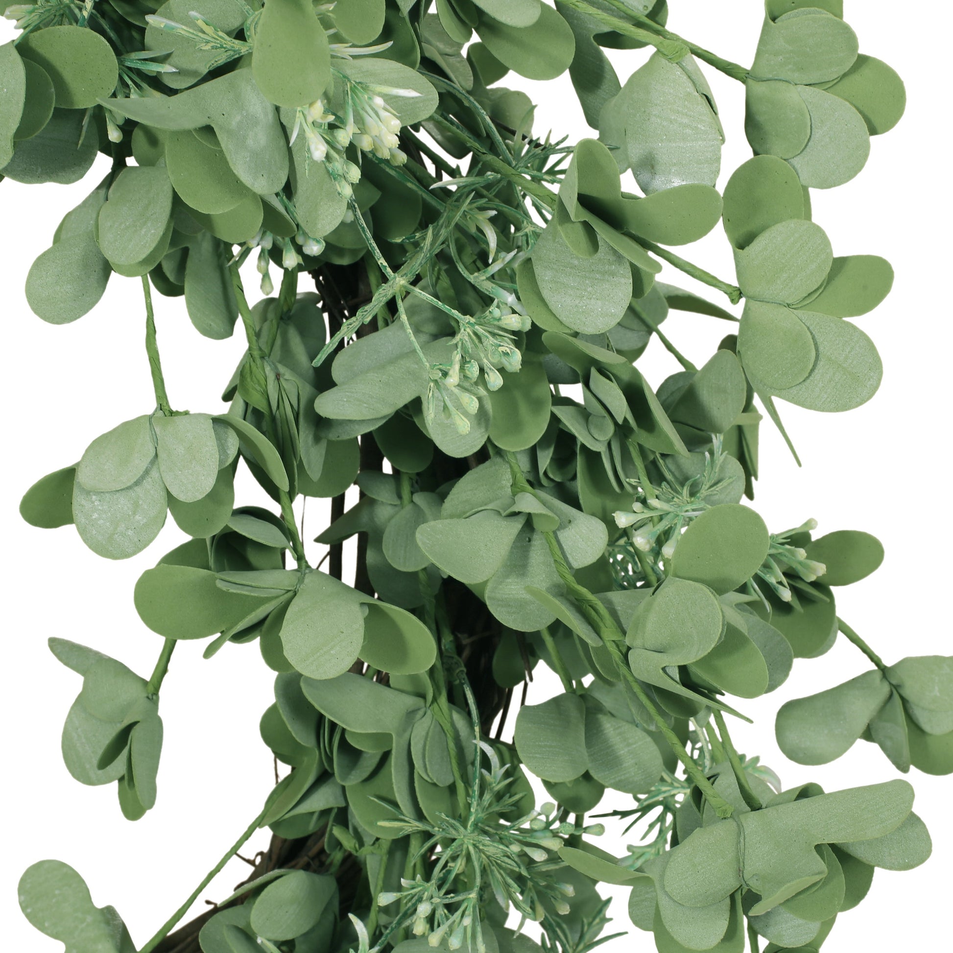 27" OXALIS CORNICULATA WREATH - Korvel