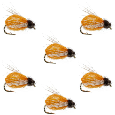 LaFontaine Amber Deep Sparkle Caddis Pupa - Size 16 Flies (6 Pack)
