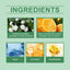Ouhoe Jasmine Brightening Essential Oil, Lighten Fine Lines And Anti-Wrinkle Essential Oil Refreshing Non-Sticky Firming Brightening Essence - Korvel